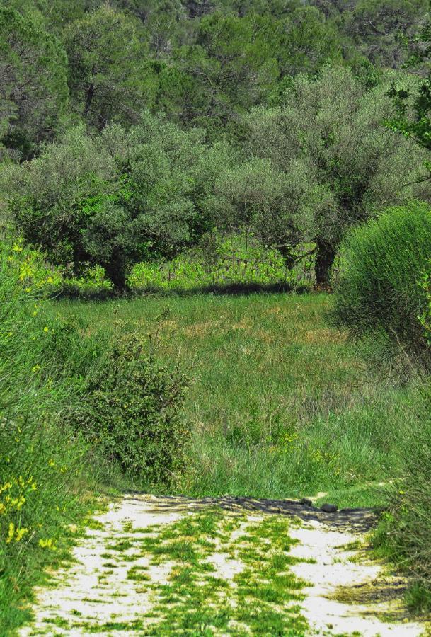 La Bastide De Canaules Bed & Breakfast Exterior photo