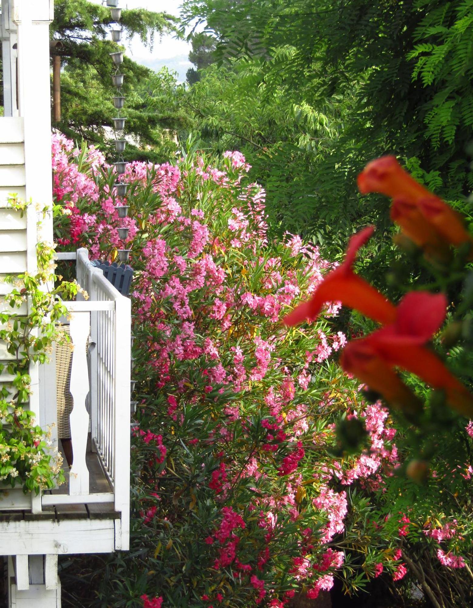 La Bastide De Canaules Bed & Breakfast Exterior photo